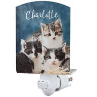 Personalized Kitten Acrylic Nightlight