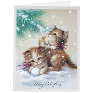 Non-Personalized Wonder and Joy Christmas Cards, Set of 20