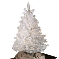 3' White All Seasons Tree by Holiday Peak™