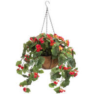 Fully Assembled Begonia Hanging Basket by OakRidge™