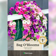 Bag O'Blooms® Petunias Saddle Bag