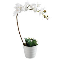 White Orchid with Flower Pot by OakRidge™