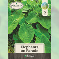 Elephants on Parade Plant Mix