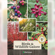 Birds & Wildlife Galore Plant Mix