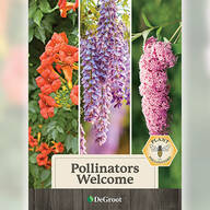 Pollinators Welcome Plant Mix