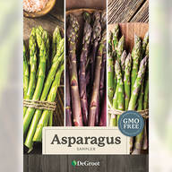 Asparagus Sampler