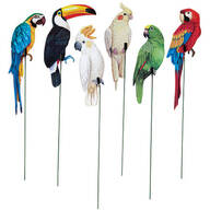 Tropical Bird Stakes, Set of 6 by Fox River™ Creations